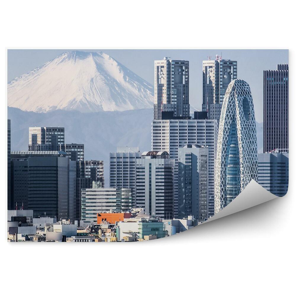 Fototapeta na stenu Hora Fudži mrakodrapy jokohama zima sneh