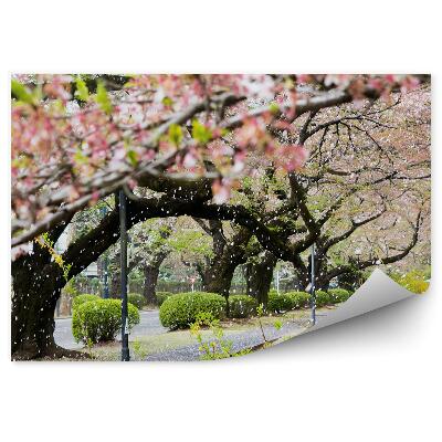 Fototapeta na stenu Rozkvitnuté čerešne stromy kríky tráva cesta zima sneh