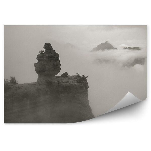 Fototapeta Sépiové skaly grand canyon hmla