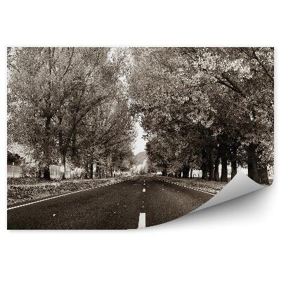 Fototapeta Cesta Krajina Stromy Vegetácia