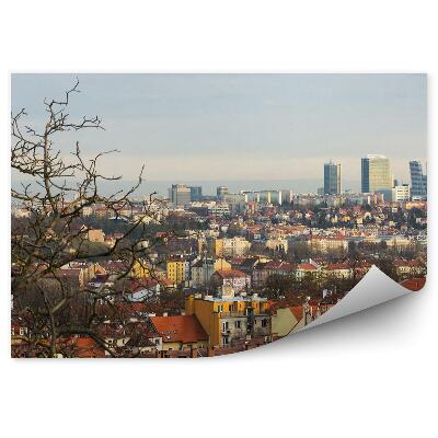 Fototapeta Panoráma pražských budov stromy