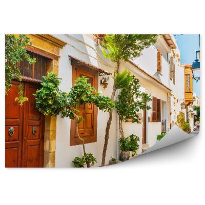 Fototapeta na stenu Ulica Rastliny Biela Grécko