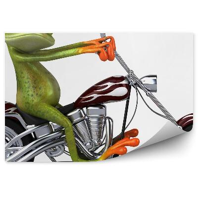 Fototapeta Žaba na chopperi