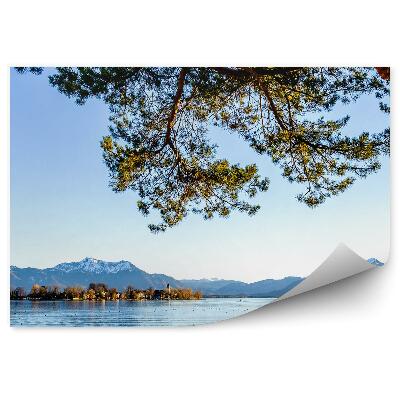 Fototapeta Borovicový most pri jazere Chiemsee