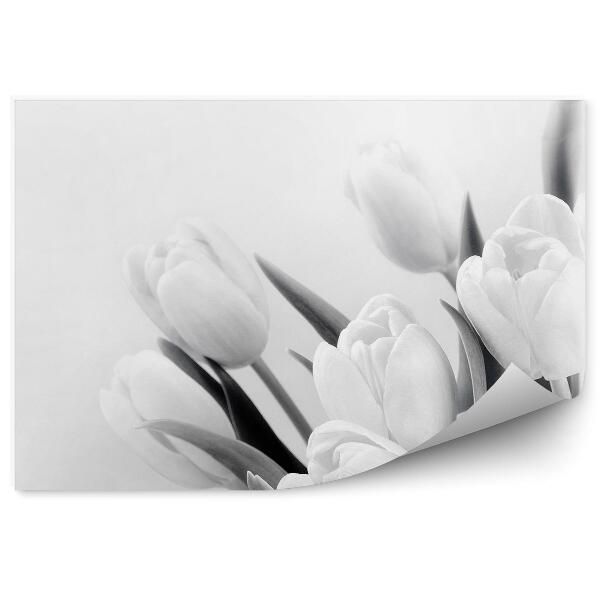 Fototapeta na stenu Tulipánové Kvety Sépiový Vzor