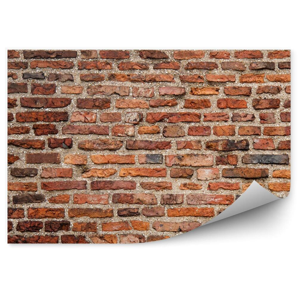 Fototapeta Staršia tehlová stena