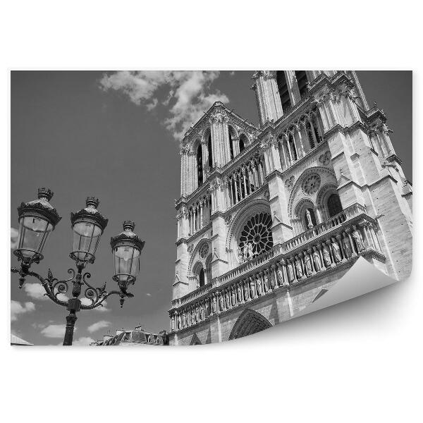 Fototapeta na stenu Čiernobiela katedrála Notre Dam Paríž Francúzsko budovy lampy