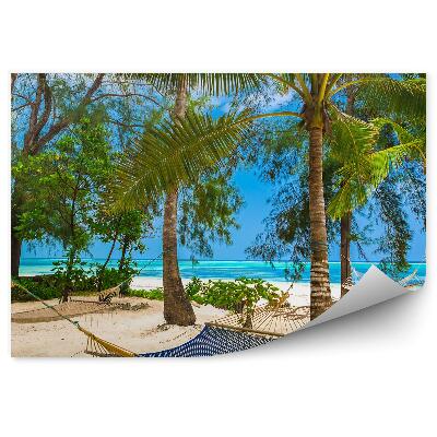 Fototapeta Hojdacie Siete Pláž Palmy Oceán Kríky Tanzánia