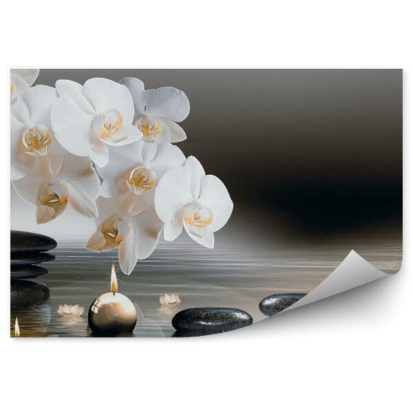 Fototapeta Biela Orchidea Kamene Vodné Sviečky