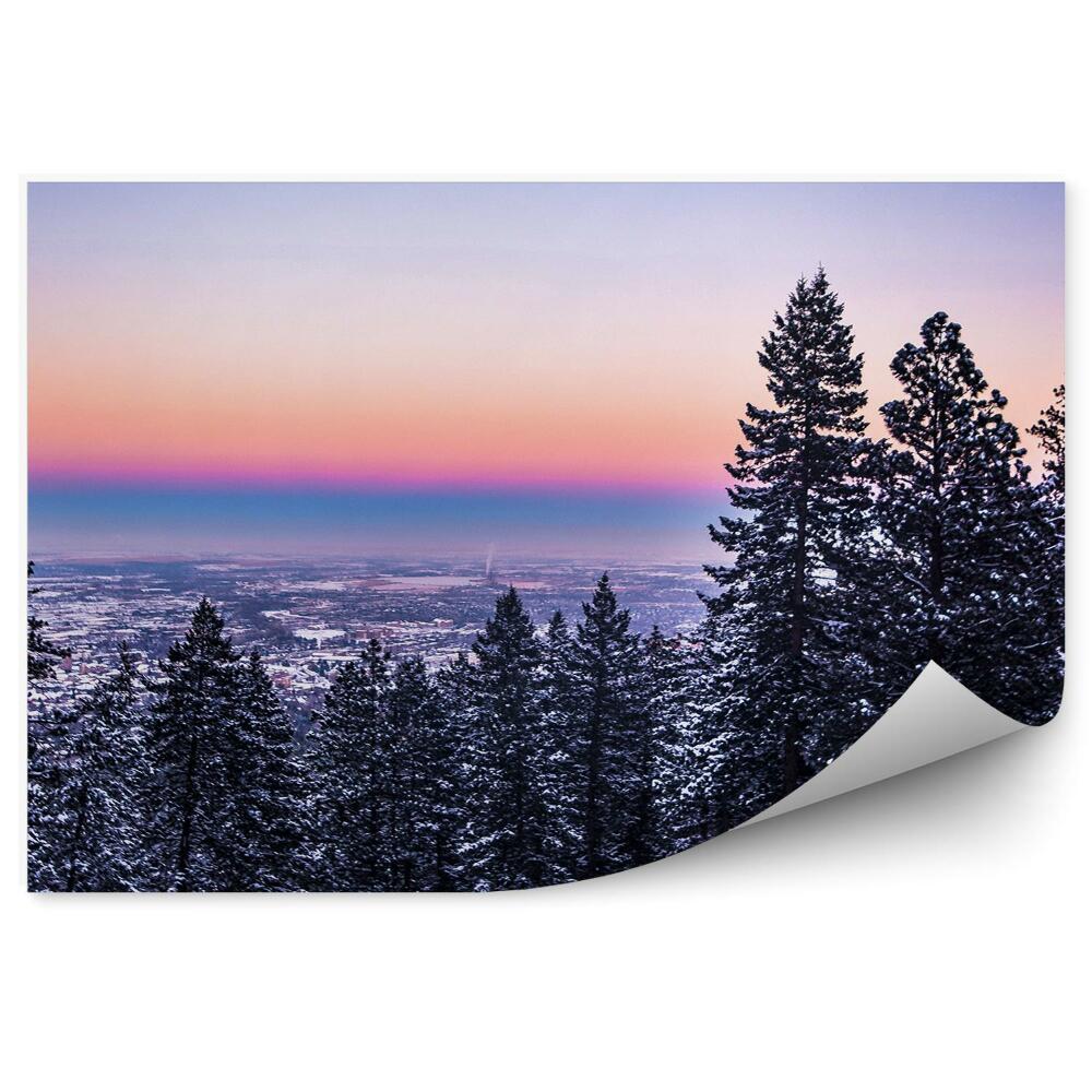 Fototapeta Mesto Ihličnaté Stromy Zimný Sneh Západ Slnka