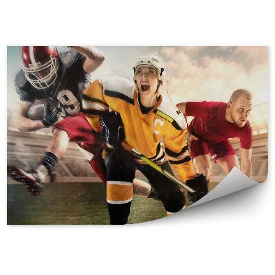 Fototapeta na stenu Kolaž športnikov na igrišču hokej nogomet nogomet