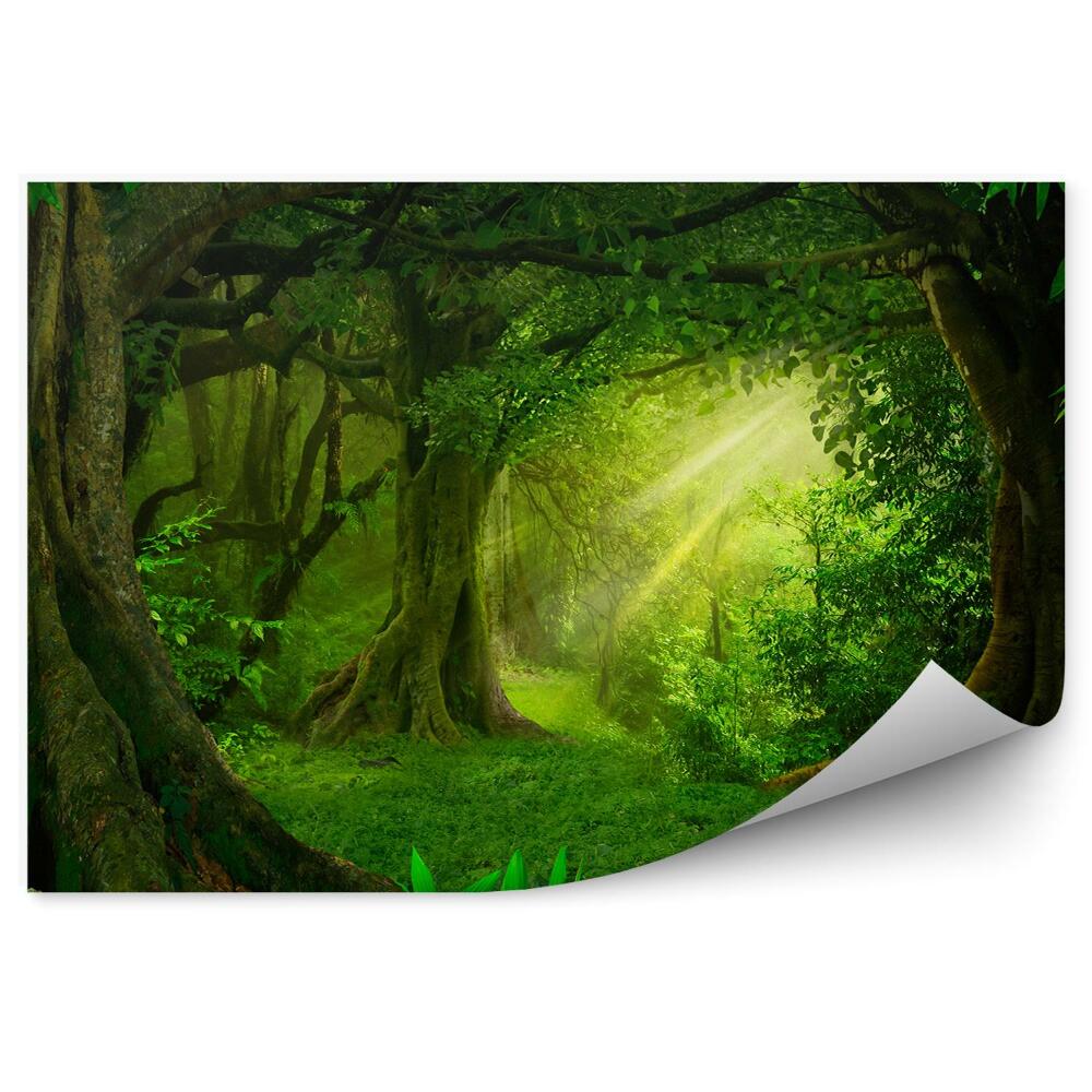 Fototapeta na stenu Džungľa zelené listy stromov