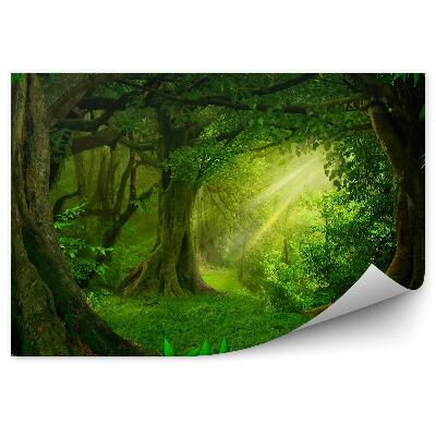 Fototapeta na stenu Džungľa zelené listy stromov