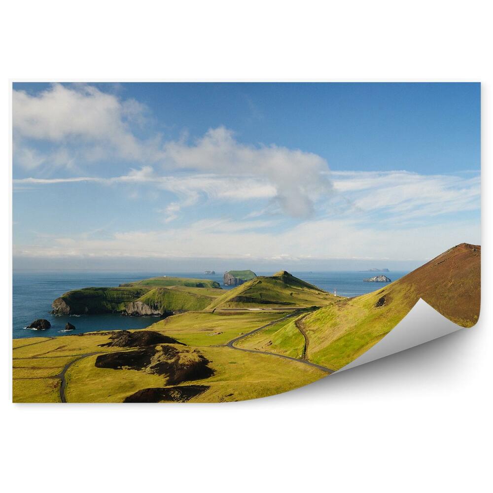 Fototapeta na stenu Island Príroda Cesta Tráva
