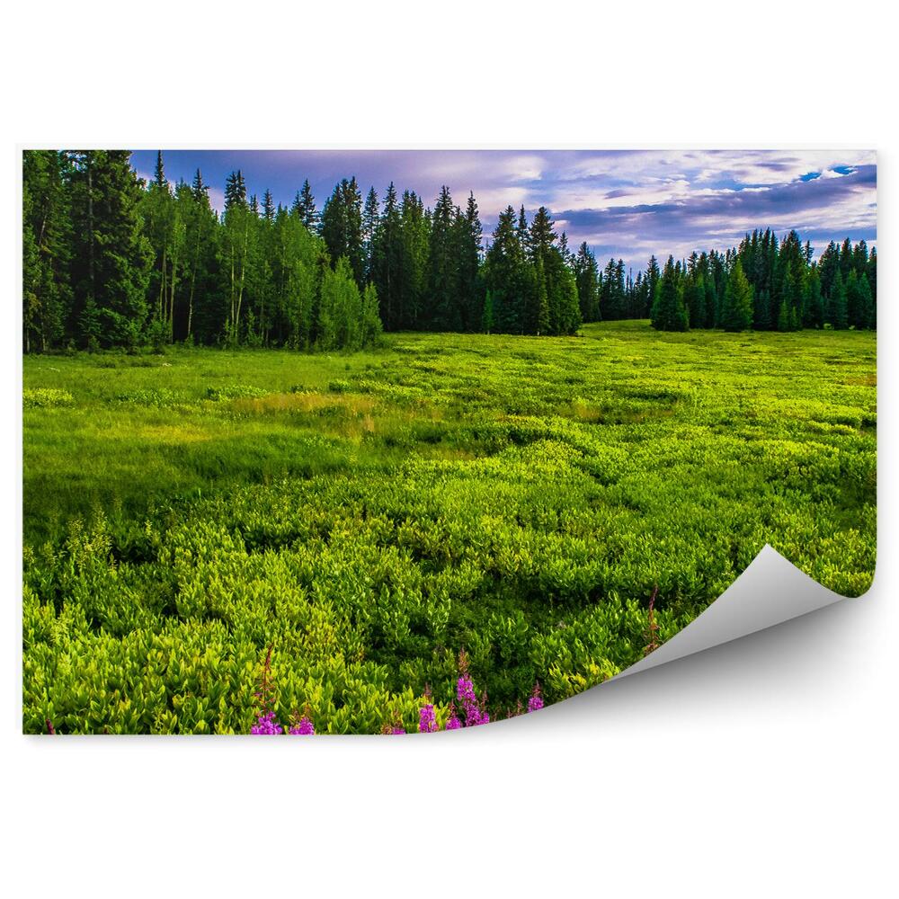 Fototapeta Vianočný stromček na čistinke farebné kvety