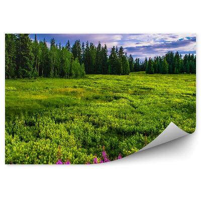 Fototapeta Vianočný stromček na čistinke farebné kvety