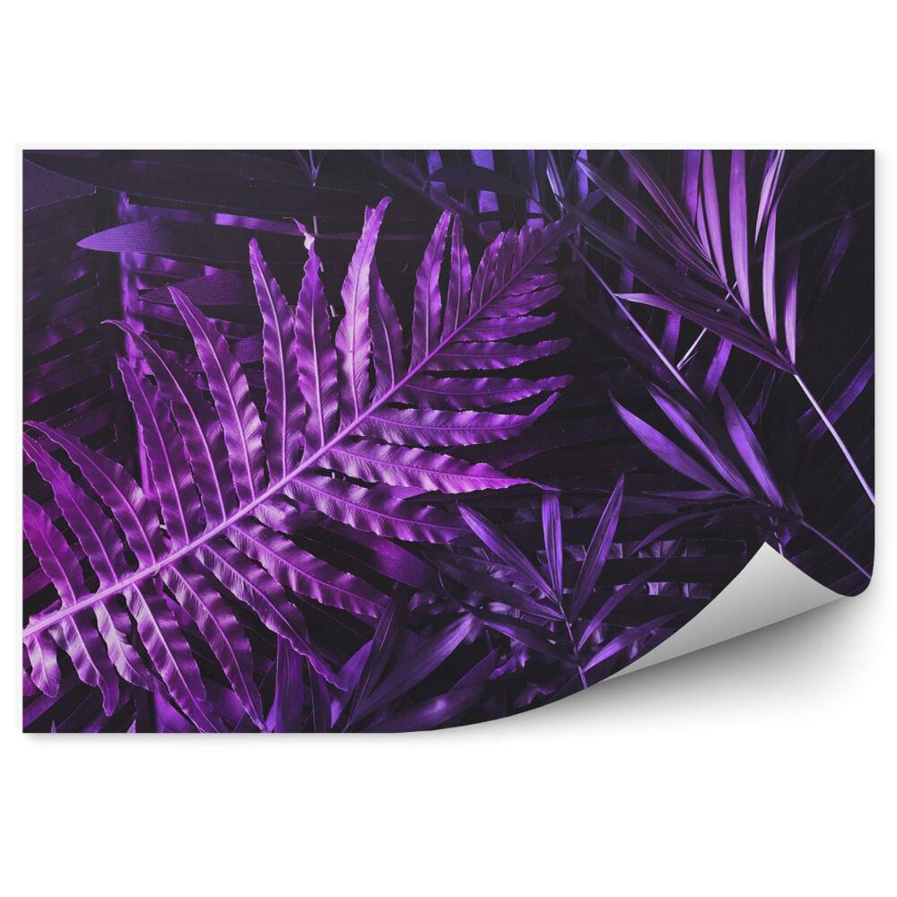 Fototapeta na stenu Usporiadanie fialových listov