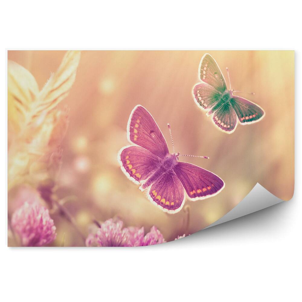 Fototapeta na stenu Motýľ lúka kvety svetloružové