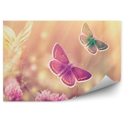 Fototapeta na stenu Motýľ lúka kvety svetloružové