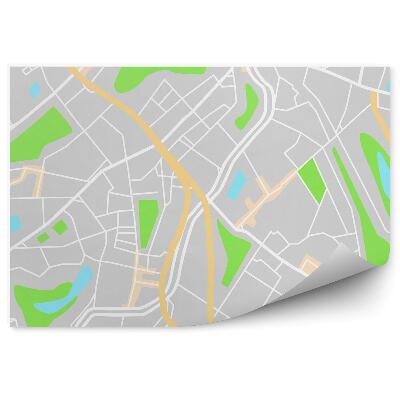 Fototapeta na stenu Plán mesta pohľad zhora ulice parky