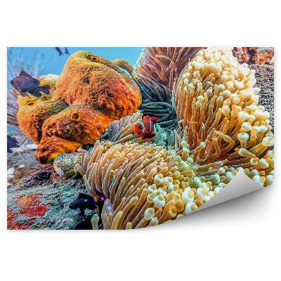 Fototapeta Zvieratá podmorského sveta útesu