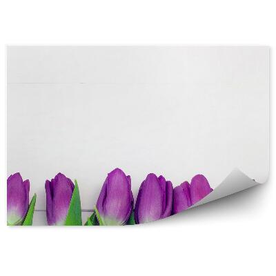 Fototapeta na stenu Fialové Tulipány