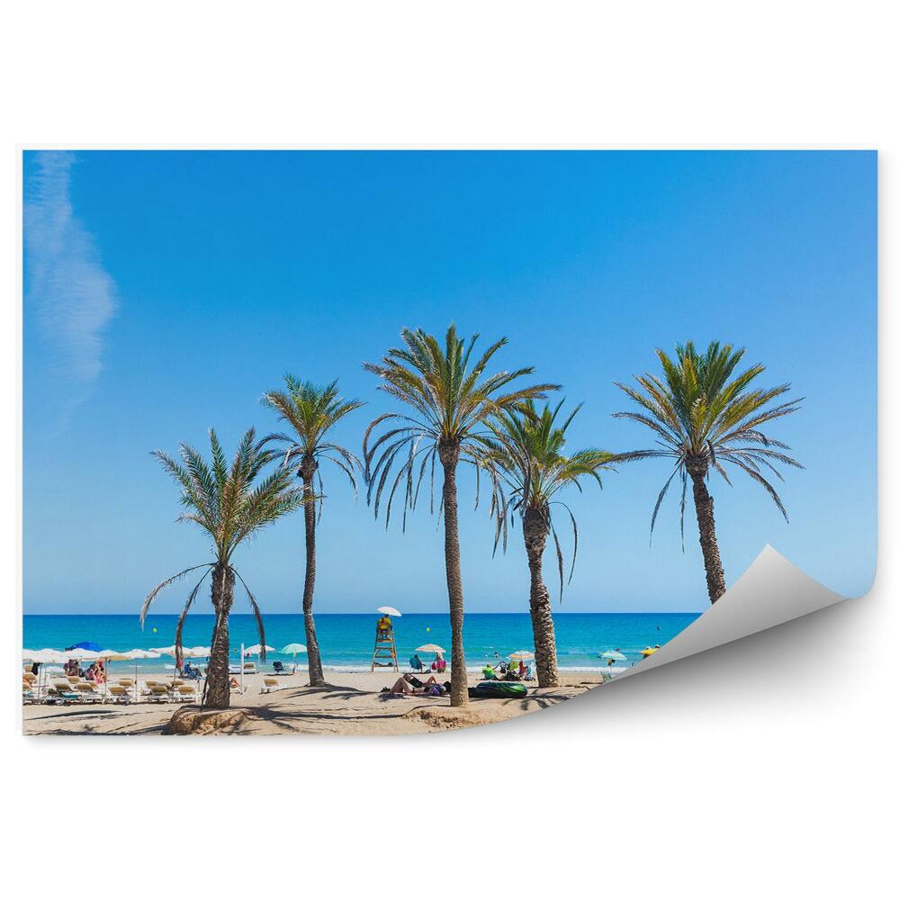 Fototapeta Lávka Palmy Ľudia Ležadlá Slnečníky Oceán Obloha