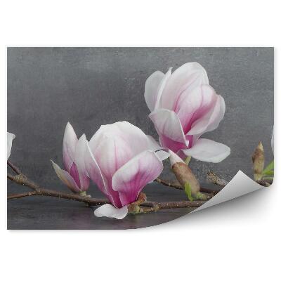 Fototapeta na stenu Magnólia Kvety Betón Pozadie