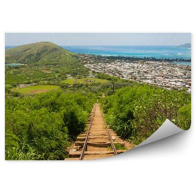 Fototapeta na stenu Trať hory budovy oceán príroda Havaj