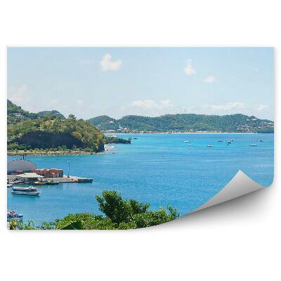 Fototapeta na stenu Karibské More Budovy Mesto Svätý Žorž Palmy Jachty Obloha Mraky