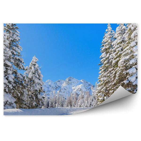 Fototapeta na stenu Zimná krajina les more oko