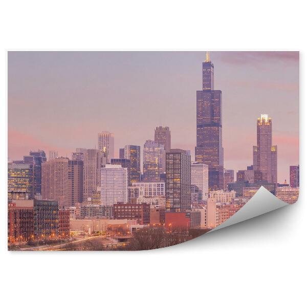 Fototapeta Mrakodrapy svetlá stromy budovy most Chicago