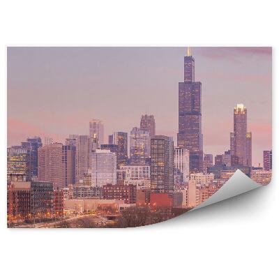 Fototapeta Mrakodrapy svetlá stromy budovy most Chicago