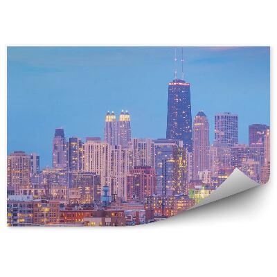 Fototapeta na stenu Mrakodrapy svetlá stromy budovy Chicago obloha mraky