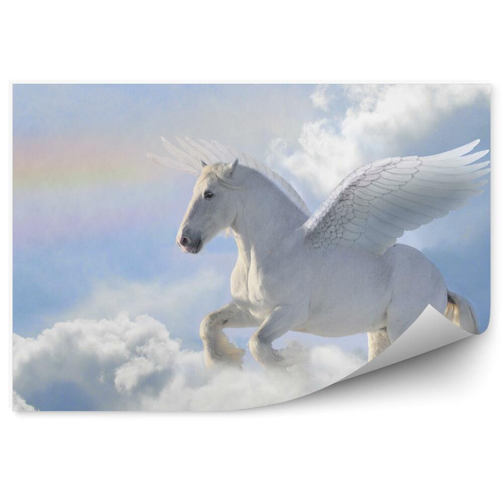 Fototapeta na stenu Pegas Kôň Obloha Mraky Dúha