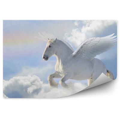 Fototapeta na stenu Pegas Kôň Obloha Mraky Dúha