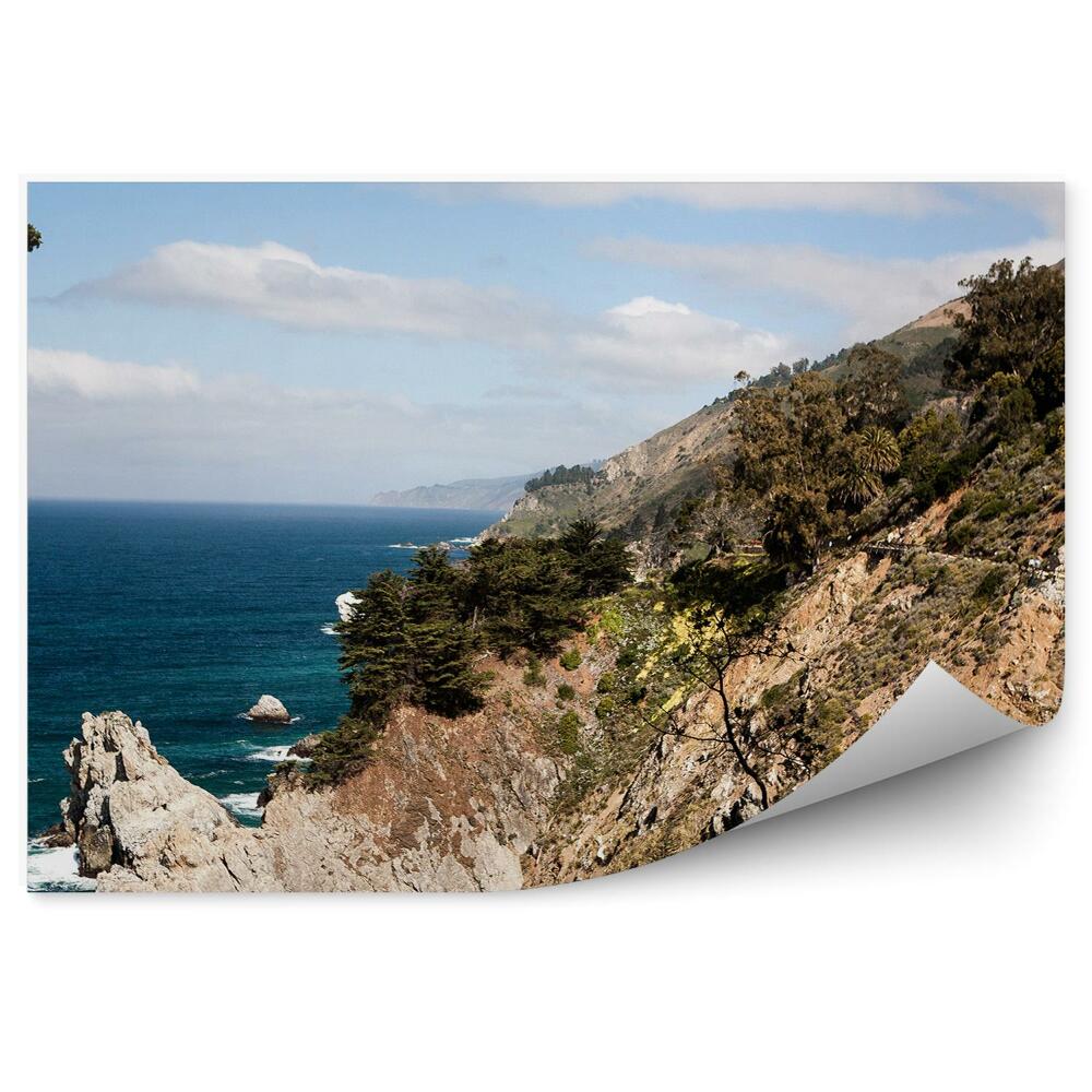 Fototapeta na stenu Útesy oceán obloha mraky stromy kalifornia