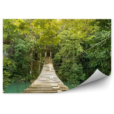 Fototapeta na stenu Drevené dosky most lano vegetácia príroda