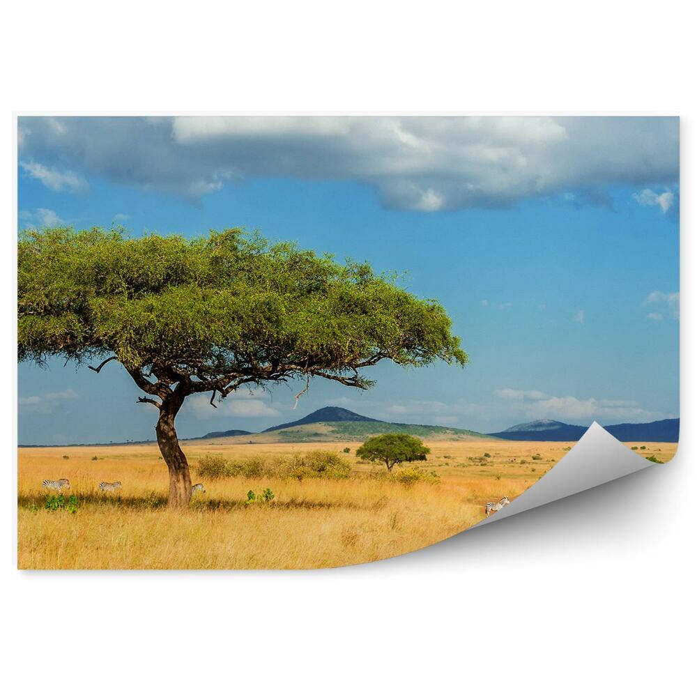 Fototapeta na stenu Pohľad Na Krajinu Príroda Strom Zebra