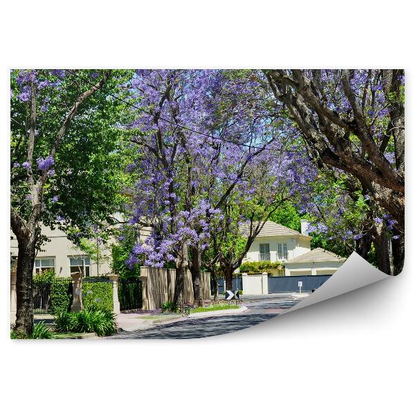 Fototapeta na stenu Mesto malá ulica farebné zelené fialové stromy