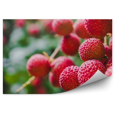 Fototapeta na stenu Červené ovocie liči listy stromu