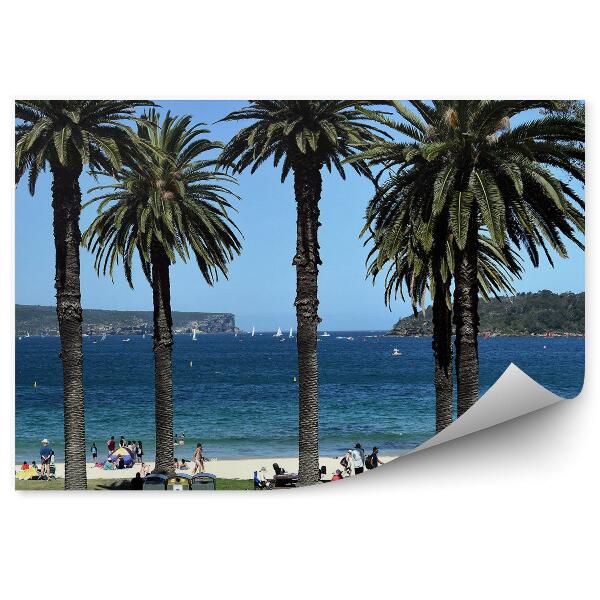 Fototapeta na stenu Pláž s palmami Sydney turisti leto