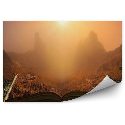 Fototapeta na stenu Kniha stromov jesenná tráva západ slnka