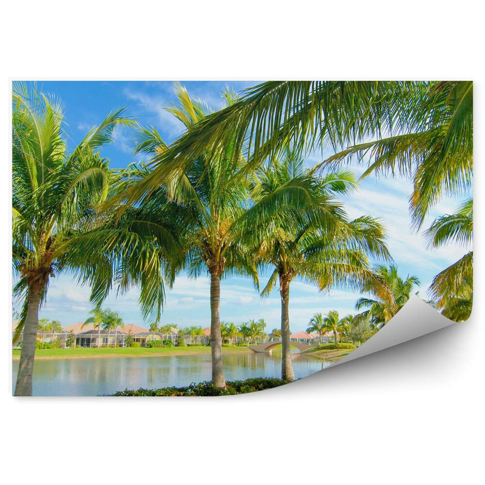 Fototapeta na stenu Palmy jazero domy mosty rastliny