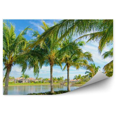 Fototapeta na stenu Palmy jazero domy mosty rastliny