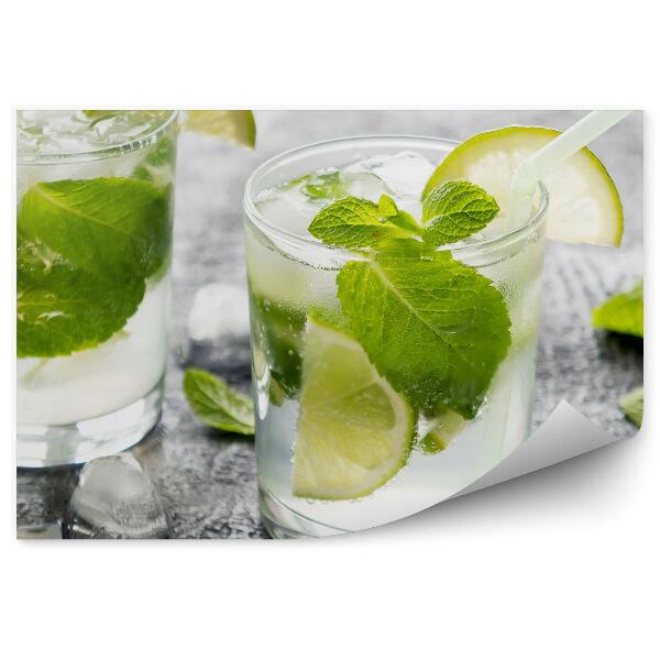 Fototapeta na stenu Nápoje alkohol mojito ľad mätový limetkový nápoj