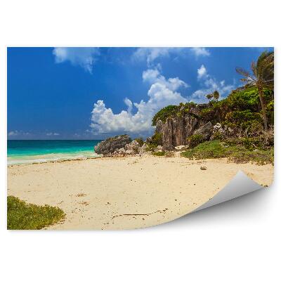 Fototapeta na stenu Karibská Pláž Útes Príroda Palmy