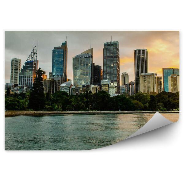 Fototapeta Mrakodrapy stromy oceán západ slnka Sydney