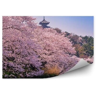 Fototapeta na stenu Čerešňový Kvet Strom Vegetácia