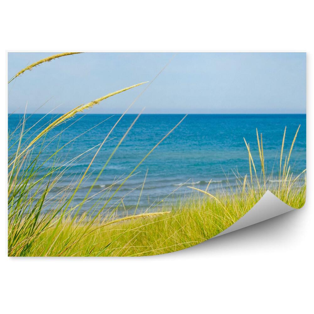 Fototapeta Nebo Morské Duny